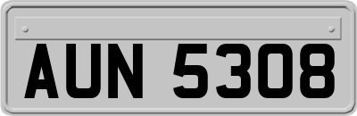 AUN5308
