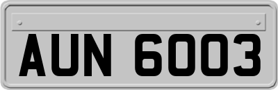 AUN6003