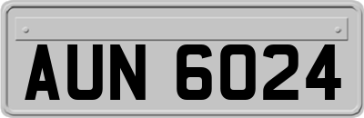 AUN6024