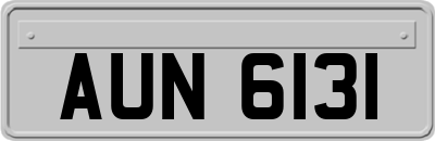 AUN6131