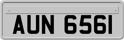 AUN6561