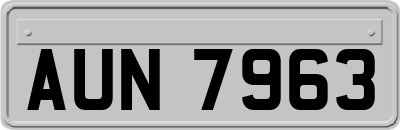 AUN7963