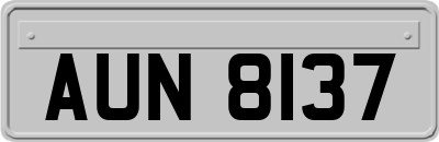 AUN8137