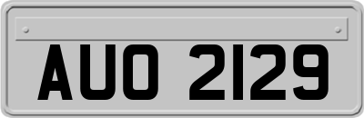AUO2129