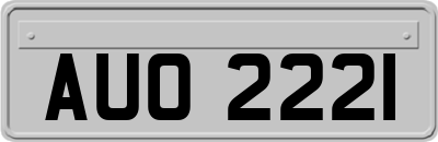 AUO2221