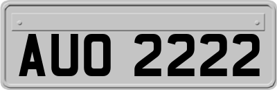 AUO2222