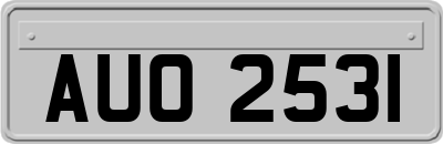 AUO2531