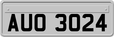 AUO3024