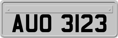 AUO3123