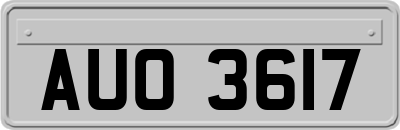 AUO3617