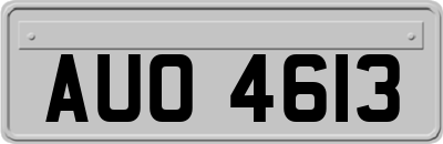 AUO4613