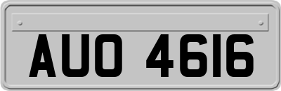 AUO4616