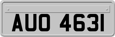AUO4631