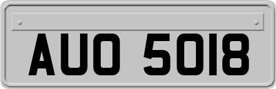 AUO5018