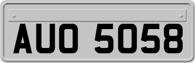 AUO5058