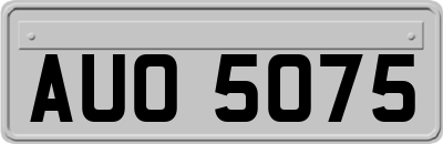 AUO5075