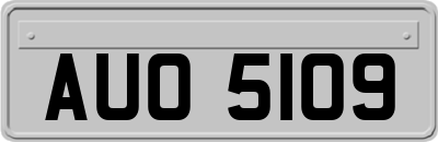 AUO5109