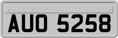 AUO5258