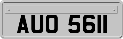 AUO5611
