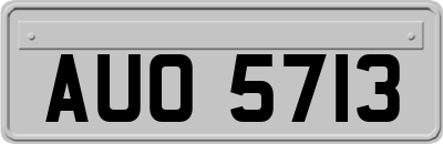 AUO5713