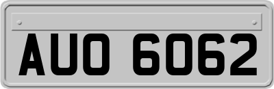 AUO6062