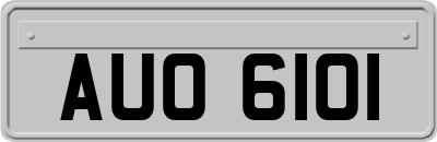 AUO6101