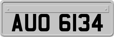 AUO6134