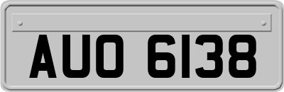AUO6138