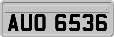 AUO6536