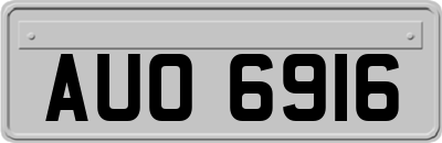 AUO6916