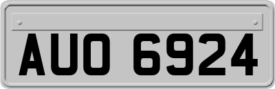AUO6924