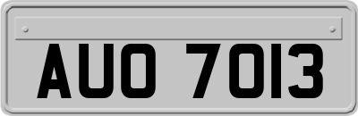 AUO7013