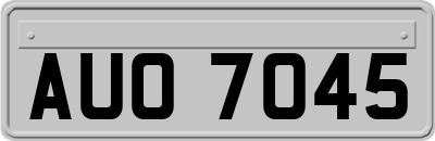 AUO7045