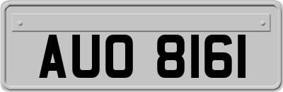 AUO8161