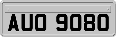 AUO9080