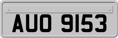 AUO9153