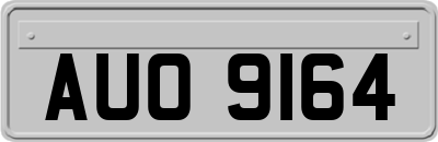 AUO9164