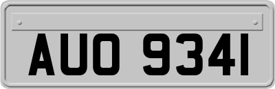 AUO9341