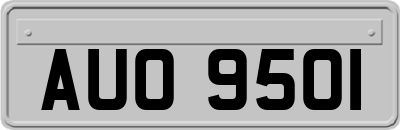 AUO9501