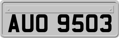 AUO9503