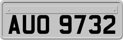 AUO9732