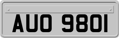 AUO9801