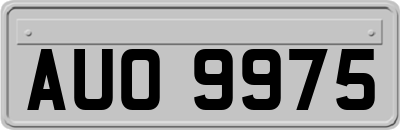 AUO9975