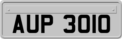 AUP3010