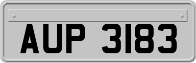 AUP3183