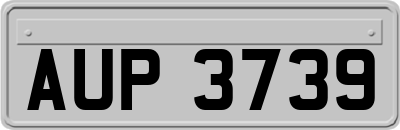 AUP3739
