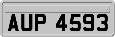 AUP4593