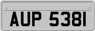 AUP5381