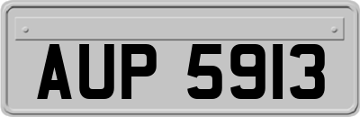 AUP5913