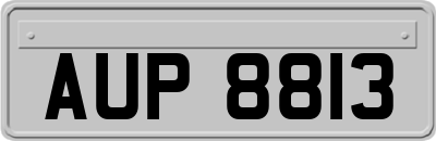 AUP8813